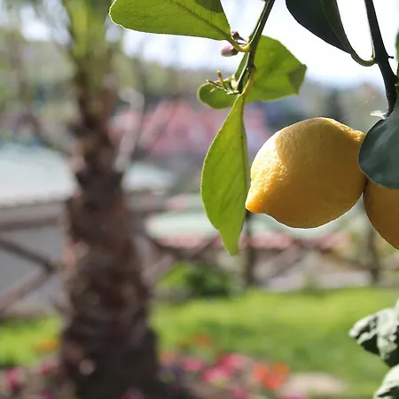 Casa Vacanze Chery Sorrento