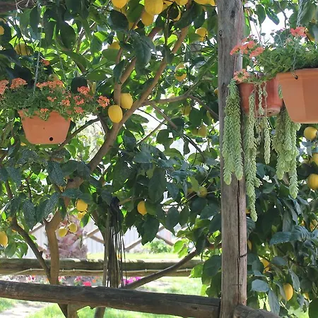 Holiday home Casa Vacanze Chery Sorrento