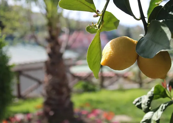 Casa Vacanze Chery Sorrento